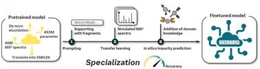 Enhancing automated drug substance impurity structure elucidation from tandem mass spectra through transfer learning and domain knowledge†
