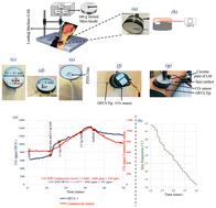 Novel approach to monitor local tissue ischemia associated with pressure ulcers using an optical fibre carbon dioxide sensor†