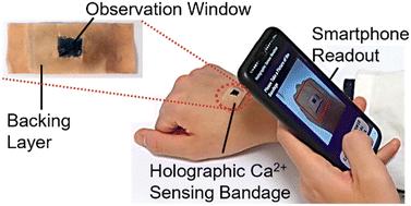 Holographic hydrogel bandage sensor for continual monitoring of wound healing†