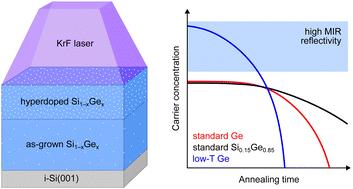 Thermal stability of hyper-doped n-type Ge and Si0.15Ge0.85 epilayers obtained by in situ doping and pulsed laser melting