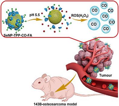 Multifunctional Beta-Cyclodextrin-Modified Selenium Hybrid Hollow Mesoporous Silica Nanospheres for Mitochondrial Targeted Carbon Monoxide Delivery