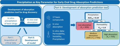 Precipitation as key parameter for early oral drug absorption predictions, Part II: Development of a predictive model