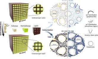 Understanding microstructure formation in lignocellulosic-biomass-derived hard carbon anode via CRISPR–Cas9 engineering