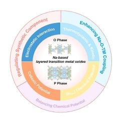Phase transition and targeted modulation mechanisms of layered cathodes for sodium-ion batteries