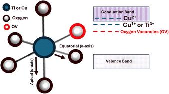 Photoinduced supercapacitance and photocatalytic performance of TiO2 enhanced by electronic band structure modification using Cu-doping