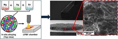 Additive manufacturing of commercially pure magnesium and Mg–2Ag–2Sn alloys by in situ alloying during laser powder bed fusion