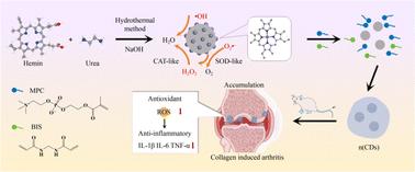 Bone-targeted carbon dots nanogels achieve precision antioxidant therapy for rheumatoid arthritis by activating the endogenous antioxidant system
