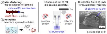 A roll-to-roll chitosan finishing strategy for elastane recovery†