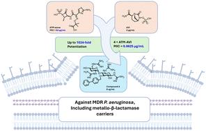 Amphiphilic nebramine analogs synergize with β-lactam/β-lactamase inhibitor combinations, including cefepime–taniborbactam and meropenem–xeruborbactam against metallo-β-lactamase-carrying Pseudomonas aeruginosa†
