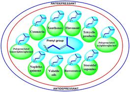 Unveiling the therapeutic potential of prenyl motif-containing derivatives: a key structural fragment for designing antidepressant compounds