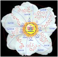 A momentous progress update: epidermal growth factor receptor inhibitors as viable agents for combating cancer