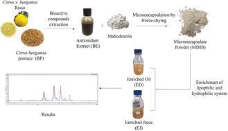 Freeze-dried microencapsulation of bergamot pomace extract: stability and antioxidant performance in hydrophilic and lipophilic systems