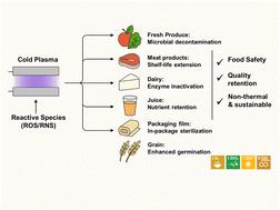 A comprehensive review on cold plasma applications in the food industry