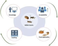 The gastronomic art of edible insects: cooking methods and food innovation
