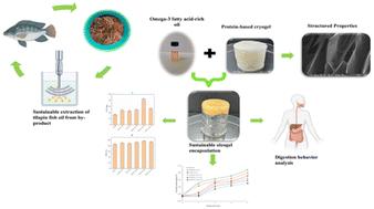 Sustainable oleogel encapsulation of tilapia fish oil using protein-based cryogels: fabrication, characterization, and digestion behavior