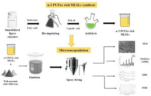 Enhanced stability of n-3 PUFAs rich structured lipids via spray-dried microencapsulation with tailored wall materials