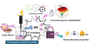Sustainable recovery of bioactive compounds from Nelumbo nucifera using ultrasound-assisted extraction optimized through response surface methodology