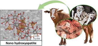Effects of vibro-milling time and sintering temperature on the formation and selected properties of nano-hydroxyapatite ceramics derived from bovine bone