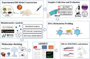 Traditional Chinese medicine Luo Tong Formula attenuates retinal injury in experimental diabetic retinopathy via modulation of DNA methylation: In vivo experiment integrated with molecular docking, ADMET assessment, and molecular dynamics simulation