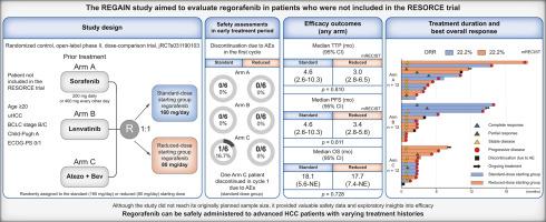 Randomized phase II study comparing two doses of regorafenib in second-line treatment for advanced hepatocellular carcinoma