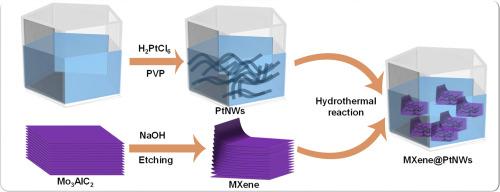 Ultrasensitive engineered two-dimensional metal carbide-based transistor biosensor for point-of-care lung cancer diagnosis via exosomal miRNA profiling