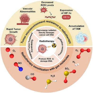 Gas-Molecule-Mediated Radiosensitization in Cancer Therapy