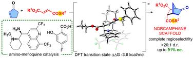 Tunable thiofumarate stereoselective cycloadditions via aminomefloquine catalysis†