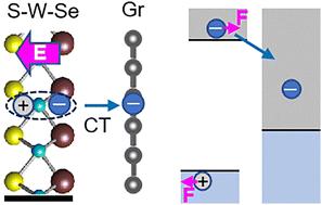 Photodoping of graphene with long-lived electrons by interfacing with Janus WSSe