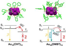 Surface ligand networking promotes intersystem crossing in the Au18(SR)14 nanocluster†