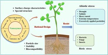 Nanozymes: recent advances for sustainable agricultural development