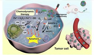 Biomimetic nanozymes catalyze cascade reactions for enhanced tumor nanocatalytic therapy†
