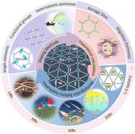 Doped-graphdiyne: synthesis, theoretical prediction and application for electrochemical energy storage