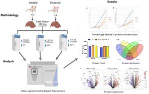 Temperature- and time-dependent degradation of mouse tissue proteins: insights into RNA-binding protein stability via mass spectrometry†