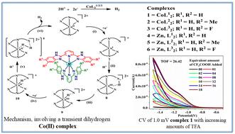 Electrocatalytic proton reduction by mononuclear cobalt complexes of bis(benzimidazolyl)pyridine ligands: experimental and theoretical study