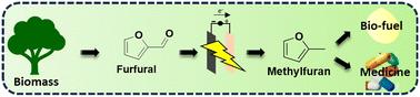 Recent advancements in the electrocatalytic conversion of furfural to 2-methylfuran