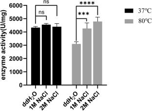 A Novel C-Terminal Small Tail Provides Thermostability of FeSOD Implying a New Mechanism of Protein Heat Resistance