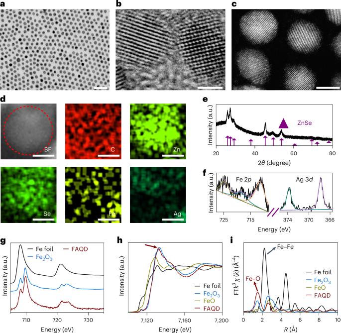 Iron–silver-modified quantum dots act as efficient catalysts in anti-cancer multitherapy through controlled, ultrasound-induced oxidation