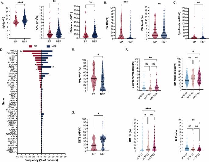 Erythroid-predominant myelodysplastic neoplasms exhibit a distinct genomic landscape with poor outcomes after venetoclax-based therapy
