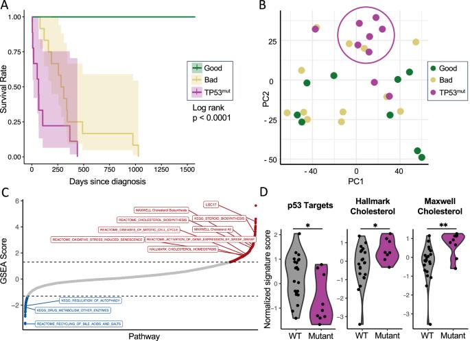 Chemoresistance of TP53 mutant acute myeloid leukemia requires the mevalonate byproduct, geranylgeranyl pyrophosphate, for induction of an adaptive stress response