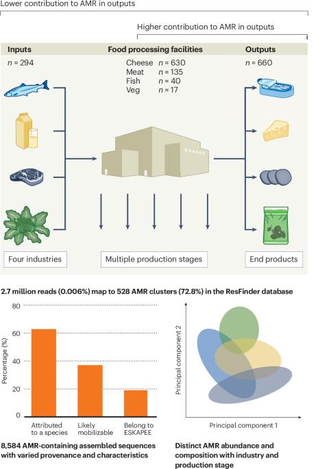 From farm to factory to fork