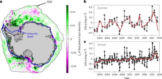 Antarctic phytoplankton communities restructure under shifting sea-ice regimes
