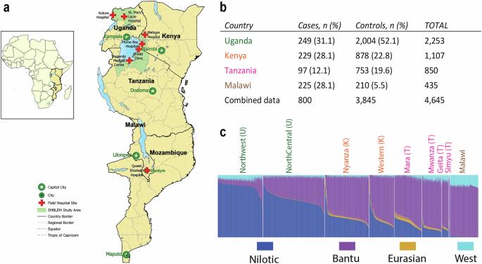 A genome-wide association study identifies an African-specific locus on chromosome 21q22.12 associated with Burkitt lymphoma risk and survival