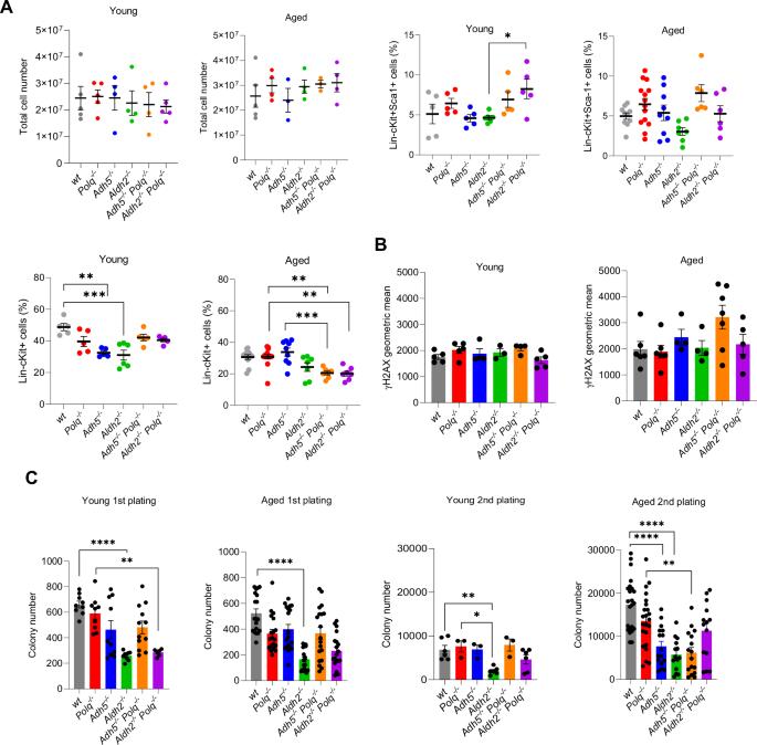 ADH5/ALDH2 dehydrogenases and DNA polymerase theta protect normal and malignant hematopoietic cells from formaldehyde challenge: therapeutic implications