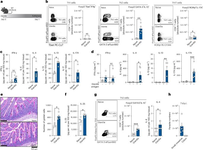 Giardia-induced Type 2 mucosal immunity attenuates intestinal inflammation caused by co-infection or colitis in mice