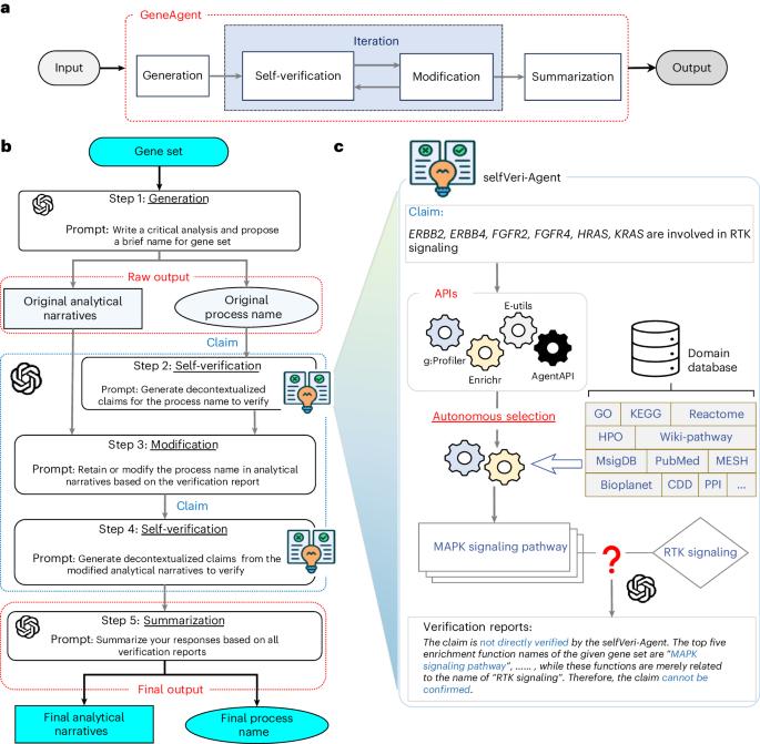 GeneAgent: self-verification language agent for gene-set analysis using domain databases