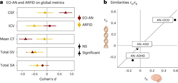 Towards a mechanistic framework for understanding early-onset restrictive eating disorders