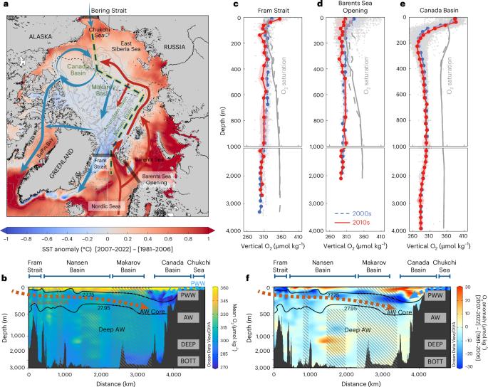 Amplified warming accelerates deoxygenation in the Arctic Ocean