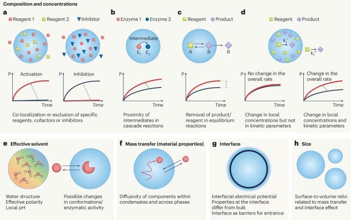 Biomolecular condensates as regulators of enzymatic reactions