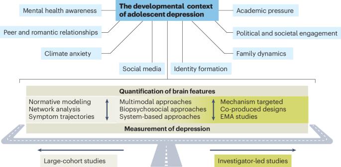 Neuroimaging insights into adolescent depression risk and development