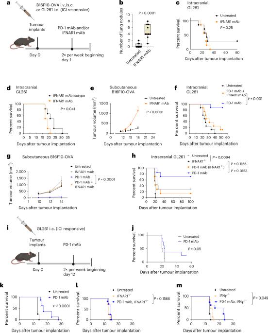Sensitization of tumours to immunotherapy by boosting early type-I interferon responses enables epitope spreading